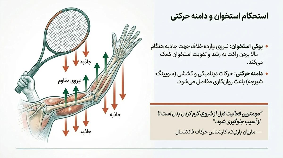 کاهش احتمال پوکی استخوان