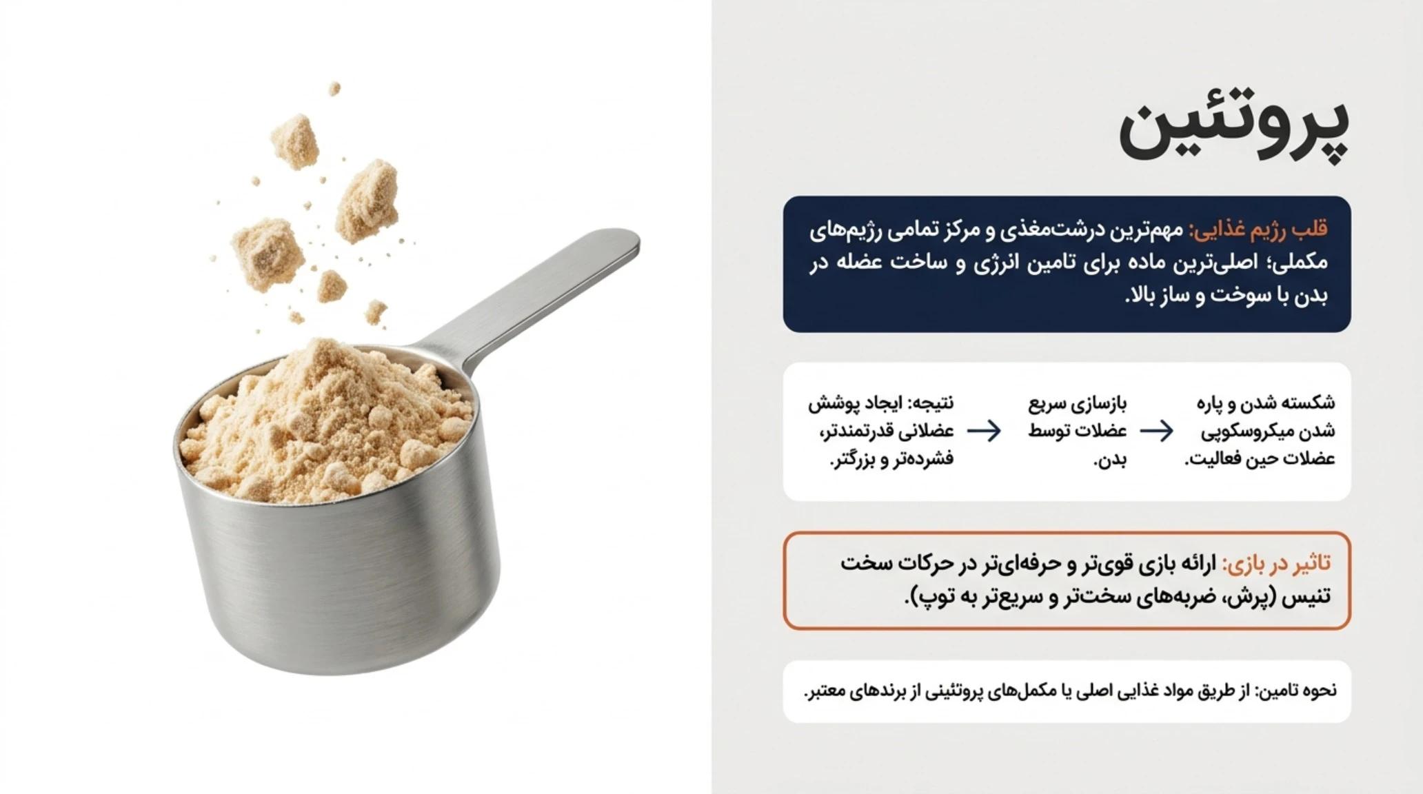 پروتئین