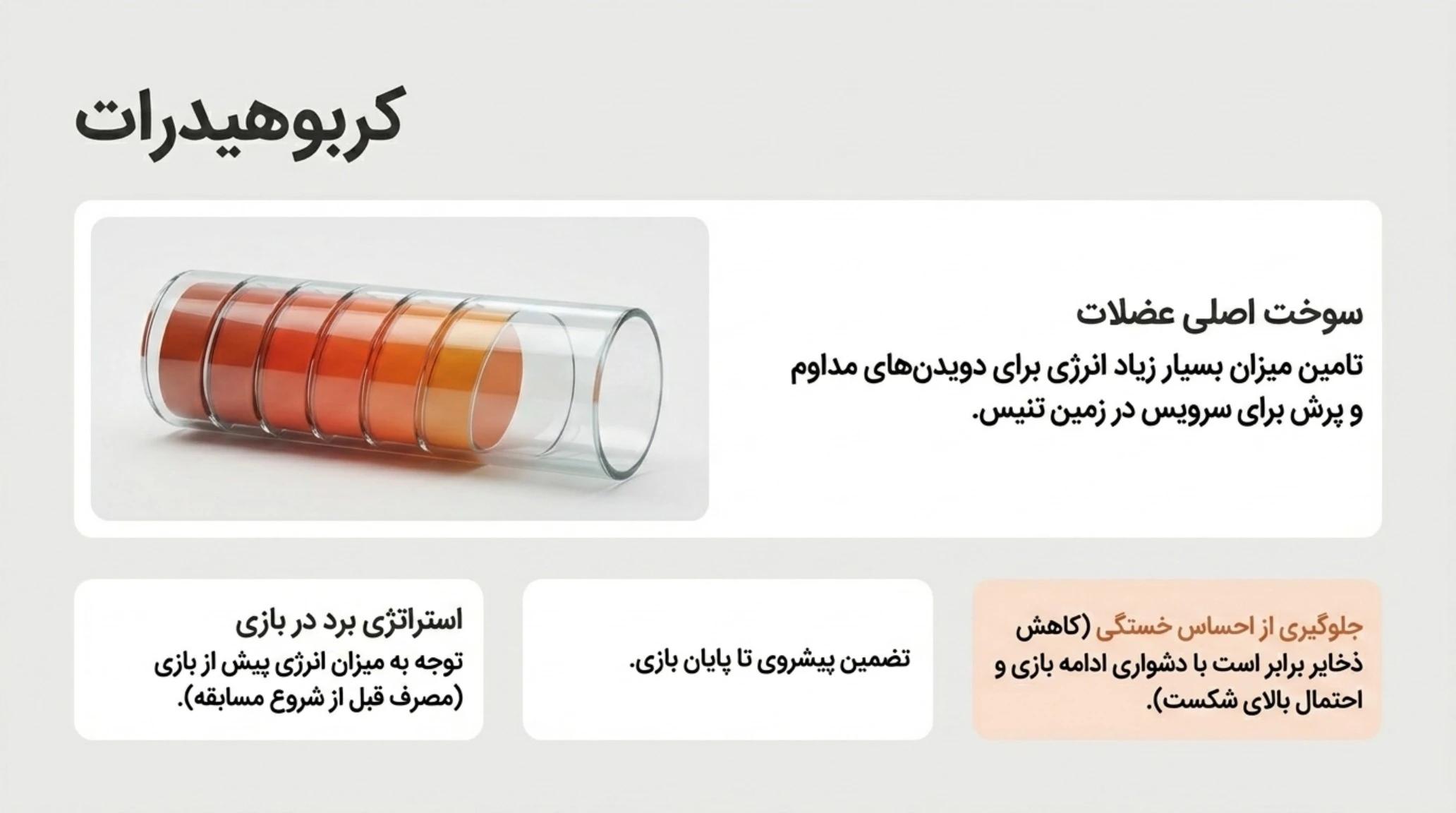 کربوهیدرات